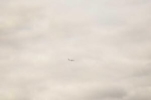 Ter um site: Por que depender apenas do Instagram é um risco fatal para seu negócio