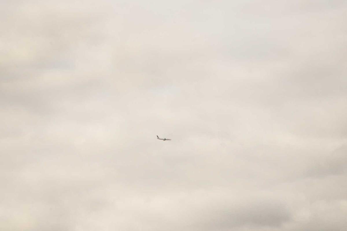 Ter um site: Por que depender apenas do Instagram é um risco fatal para seu negócio